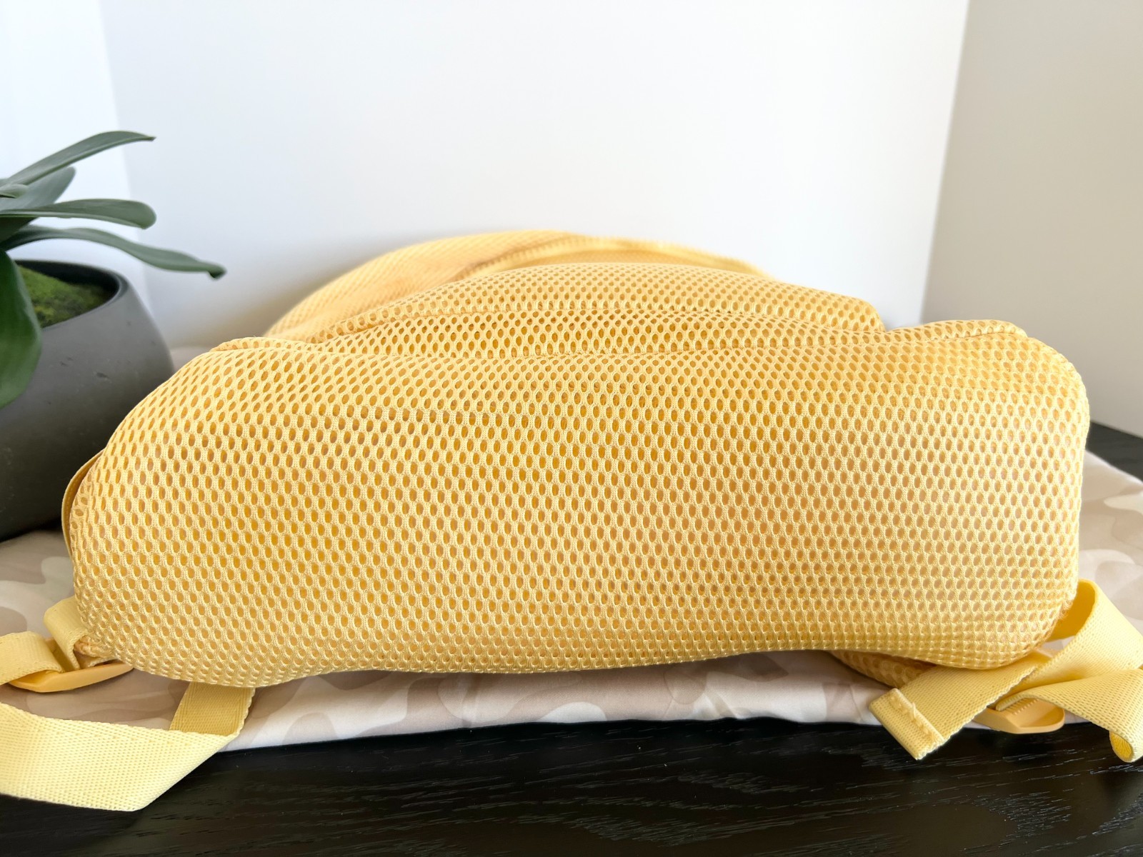 Authentic Brand New Dagne Dover Dakota Air Mesh Large Backpack in Pollen