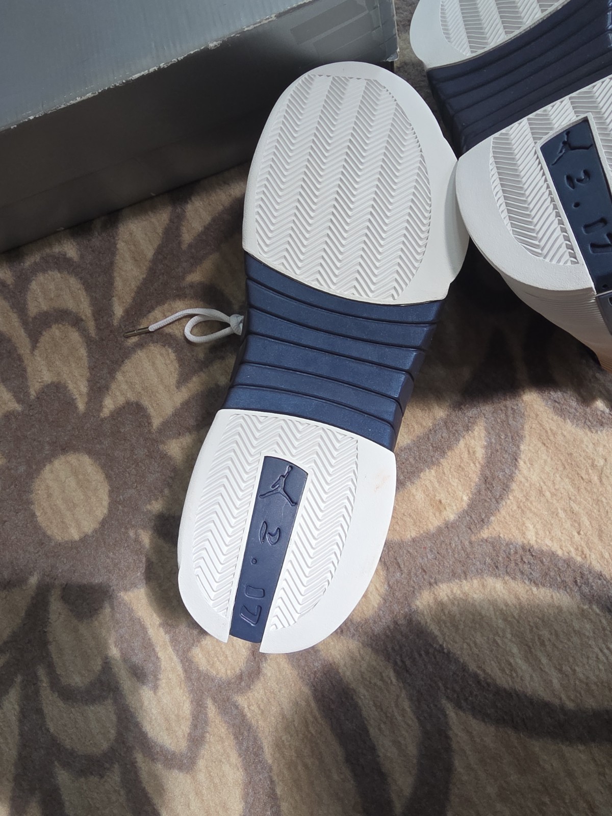 Jordan 15 OG “Obsidian” (2000) Size 14 Nike
