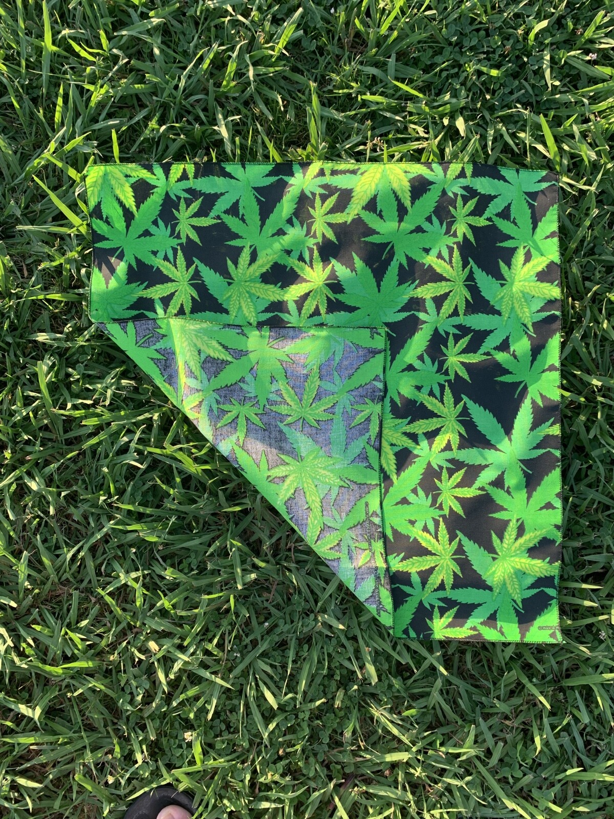 Cannabis Leaf Approximately 22x22in Bandanna Made in USA 100% Cotton(I know)