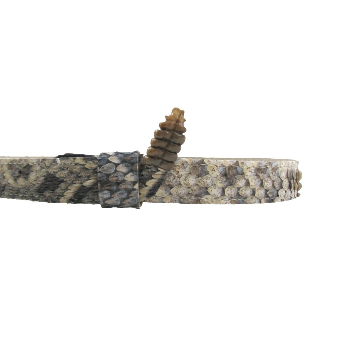 Real Rattlesnake Head Skin Western Cowboy Hat Band Wrap Genuine Snake Taxidermy