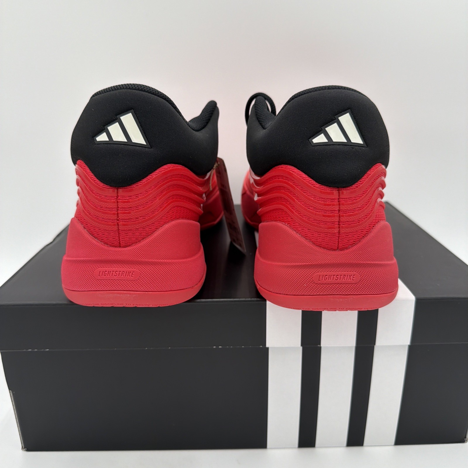 Adidas Dame X Basketball Shoes JP6093 Pure Ruby/Black Men’s Size 10.5 NIB