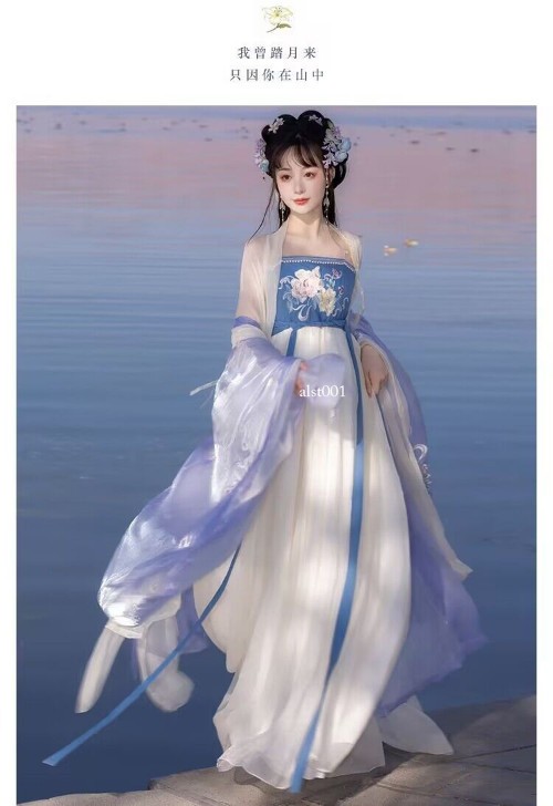 Hanfu Dress Women Ancient Chinese Traditional Hanfu Halloween Cosplay Costume