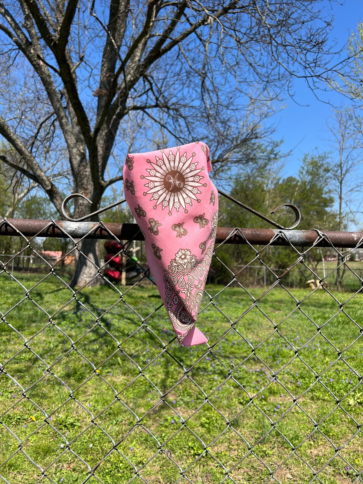 Floral Paisley 22×22 Bandanna