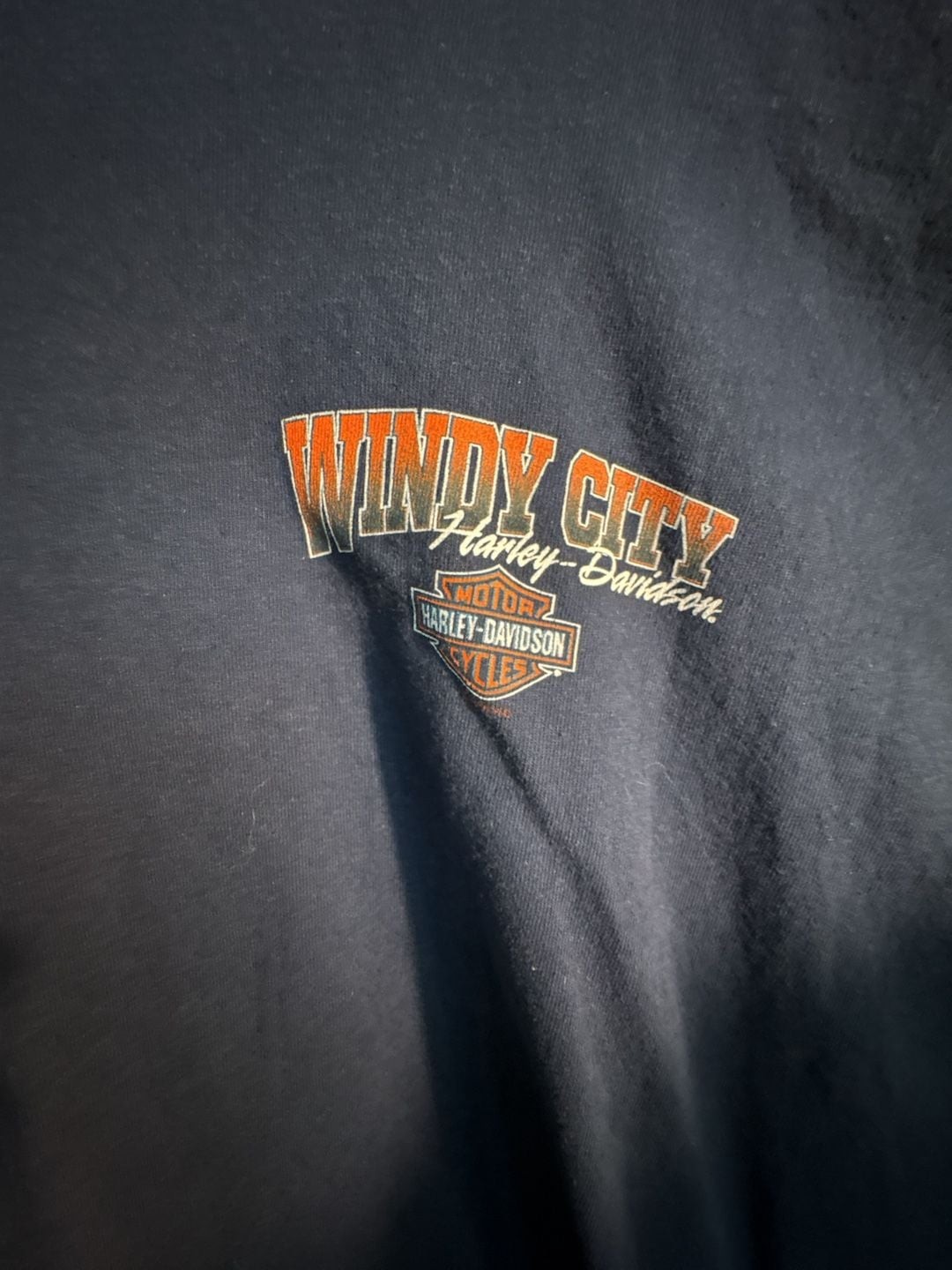Harley-Davidson Windy City Chicago Grizzly Bear Graphic T-Shirt 3XL