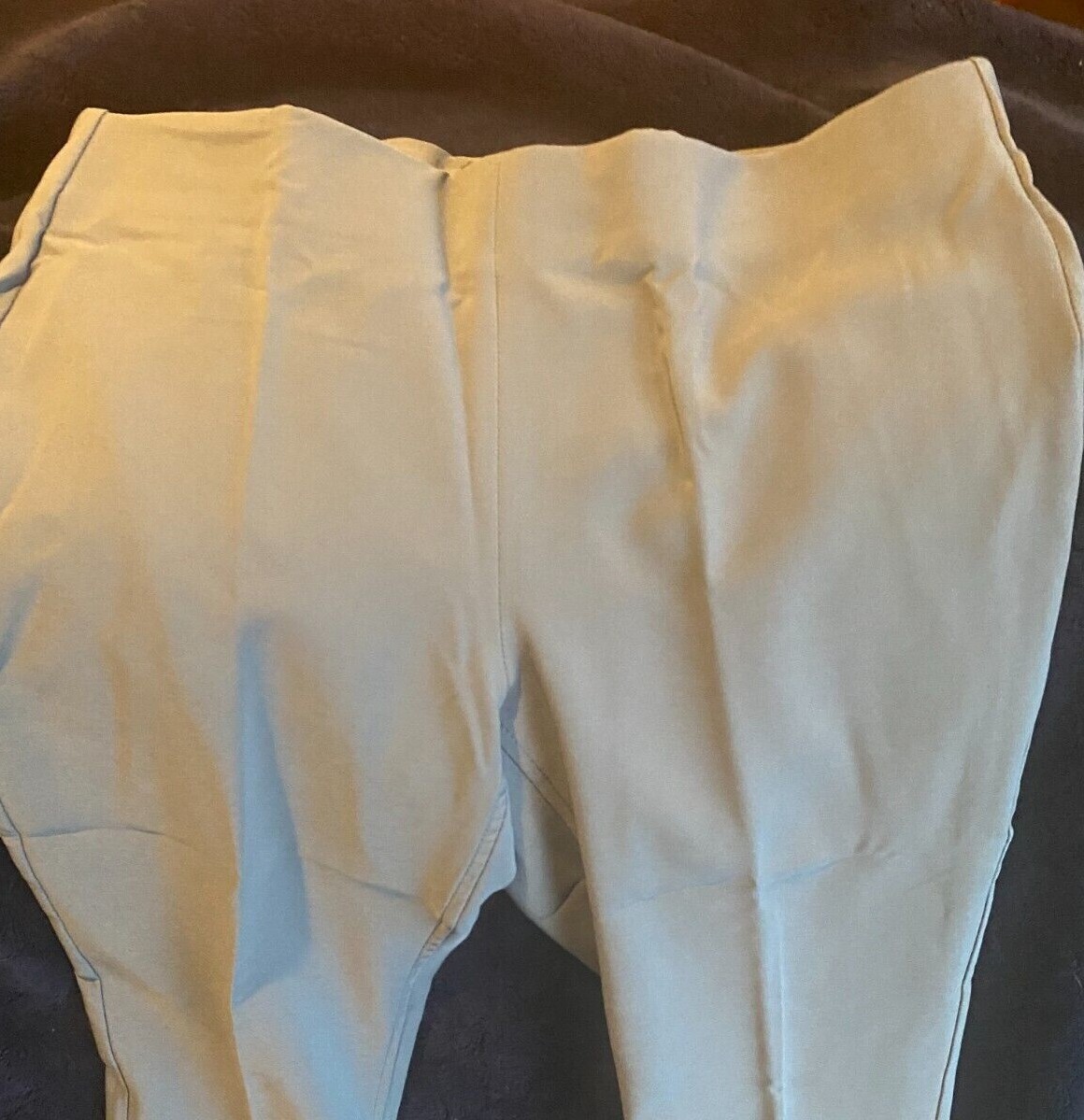 Adrianna Papell New Bi-Stretch Pull On Pants Dusty Blue Spring Summer Capri