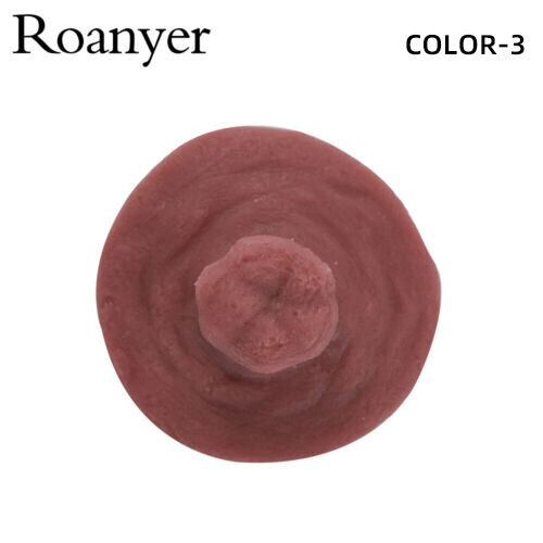 Roanyer 2PCS Silicone Fake Areola Nipple Cover Sticker Realistic Self-adhesive