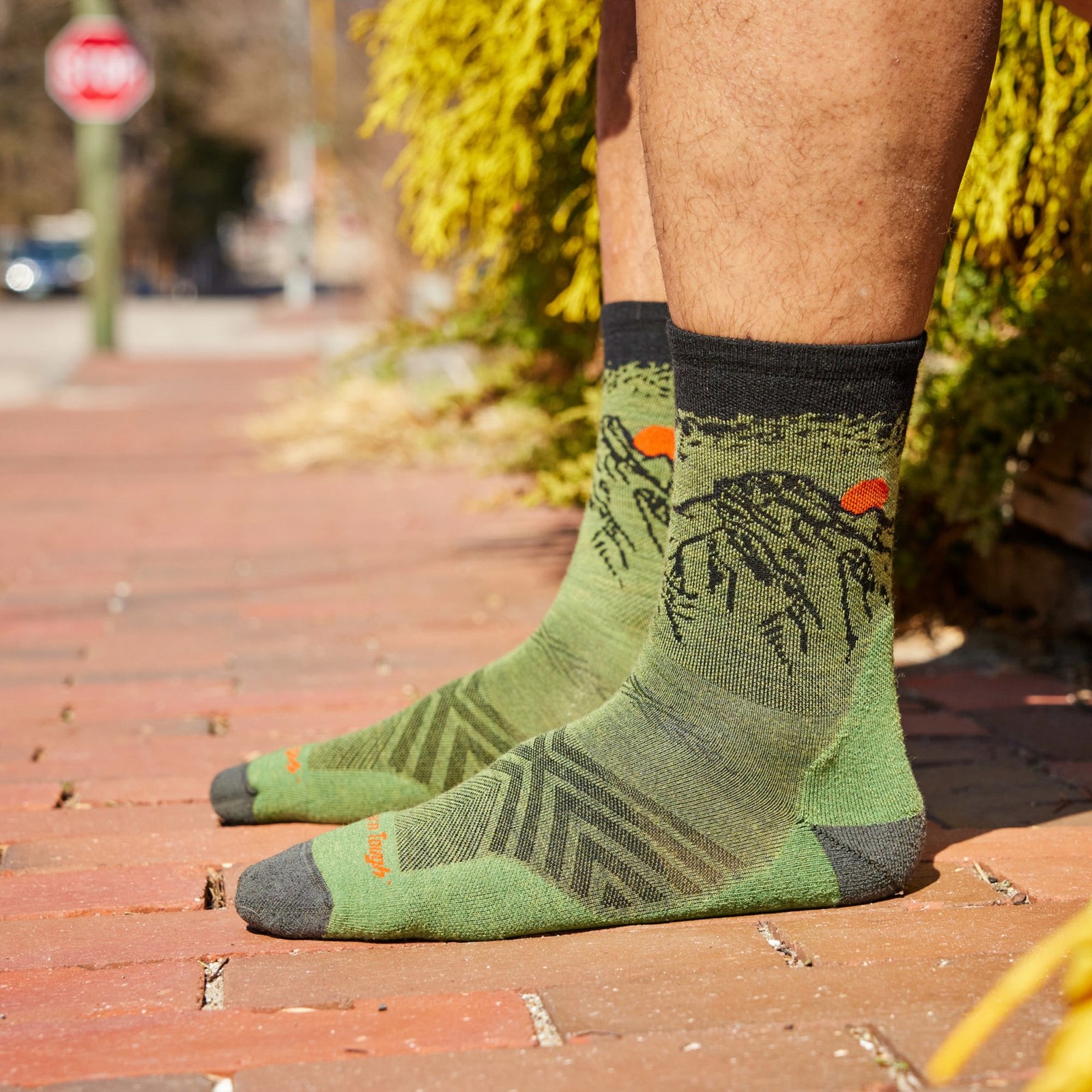 Darn Tough 1066 Lichen Men’s Vert Micro Crew Ultra-Lightweight Running Socks USA