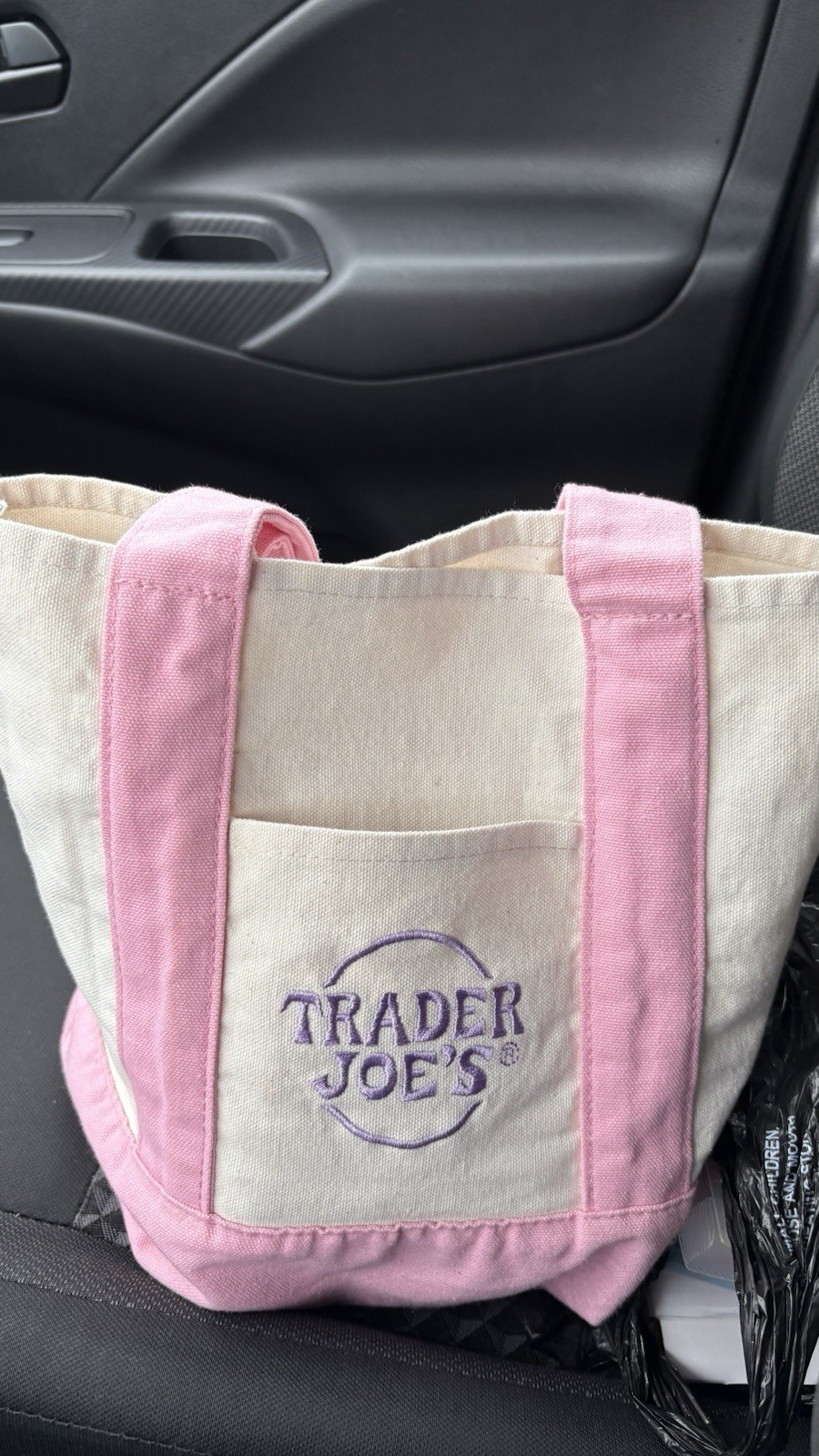 Trader Joe’s Mini Tote Bag Pink