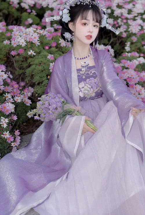 Women Retro Purple Fairy Chinese Style Traditional Hanfu Cosplay Princess Dress