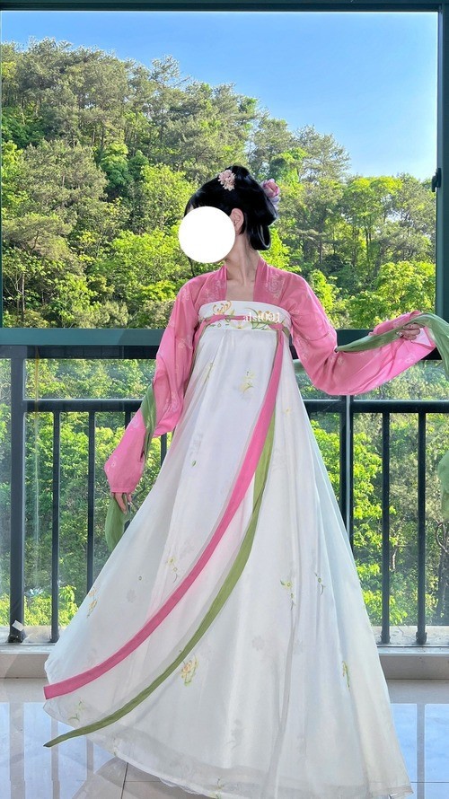 Ancient Traditional Dress Original Hanfu Chinese Tang Dynasty Costumes Fairy