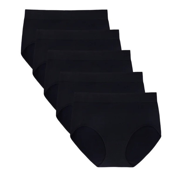 Carole Hochman Seamless Brief 5-Pack Women’s Underwear Nylon Spandex Stretch