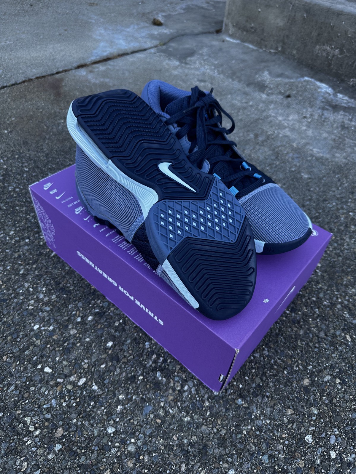 Nike LeBron Witness 8 Ashen Slate Sierra Canyon Basketball FB2239-400 Size 9-13