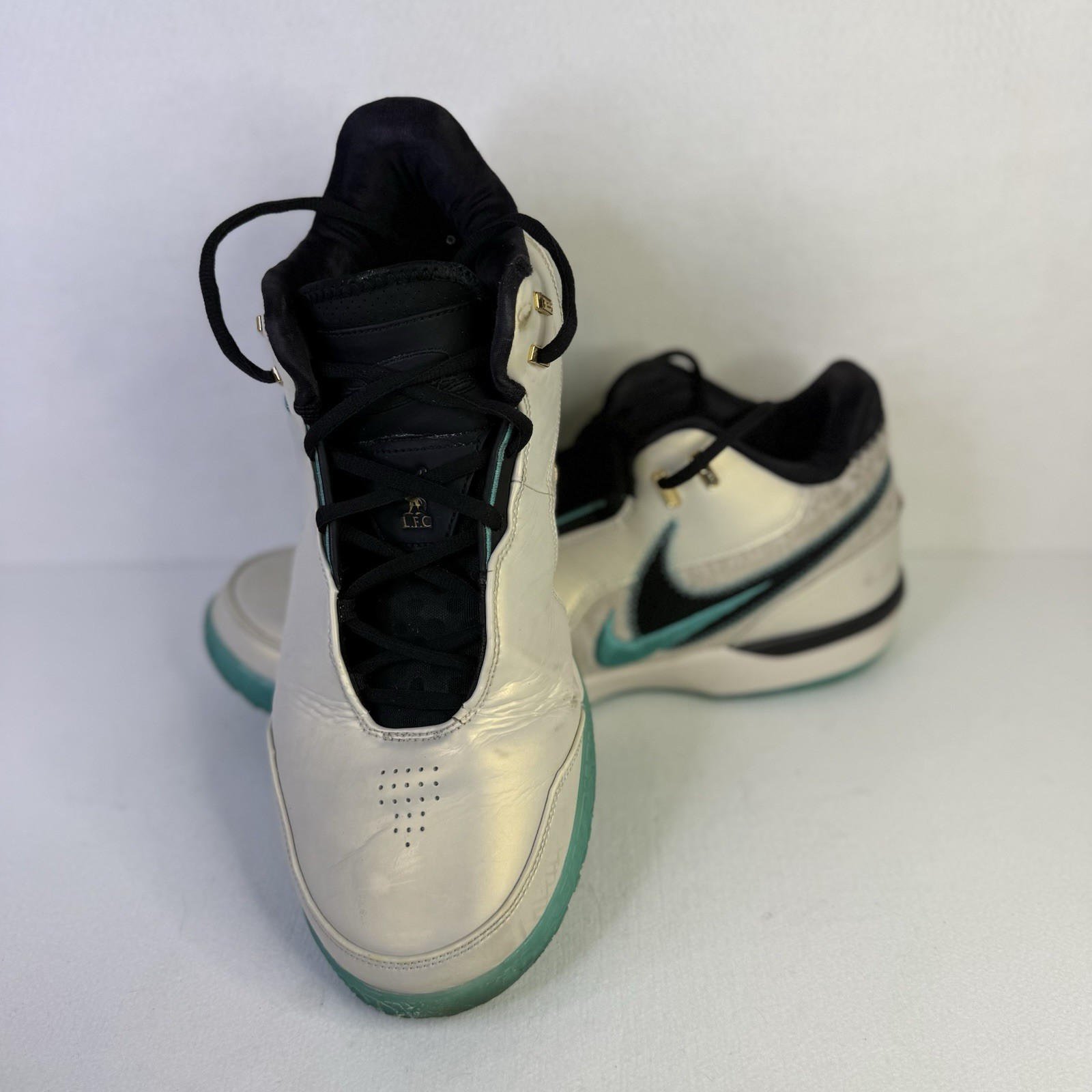 NIKE Lebron NXXT GEN AMPD FJ1566-101 Men Size 15