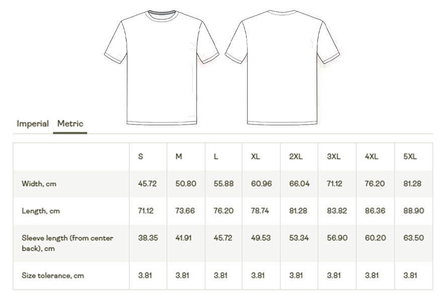 Sand Color Pavement Band Gildan Shirt Unisex All Sizes TR744