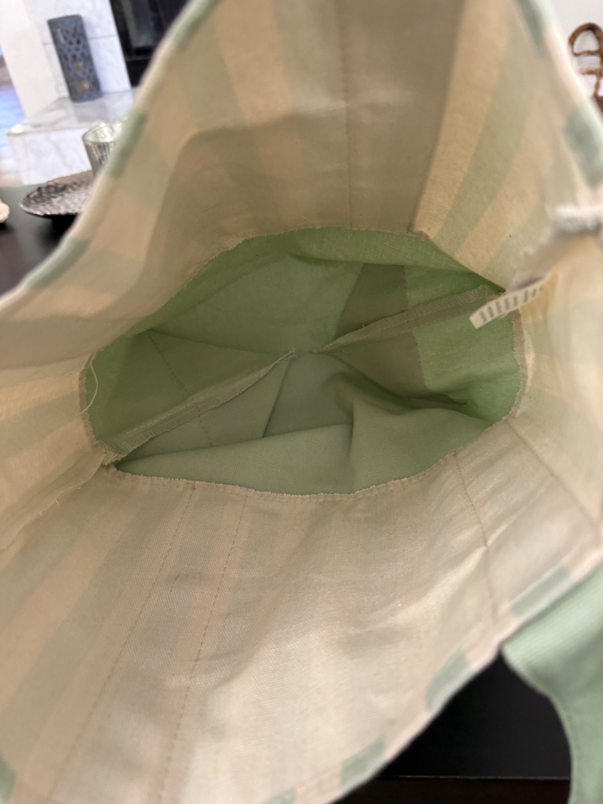 Pastel Green Trader Joes Mini Bag