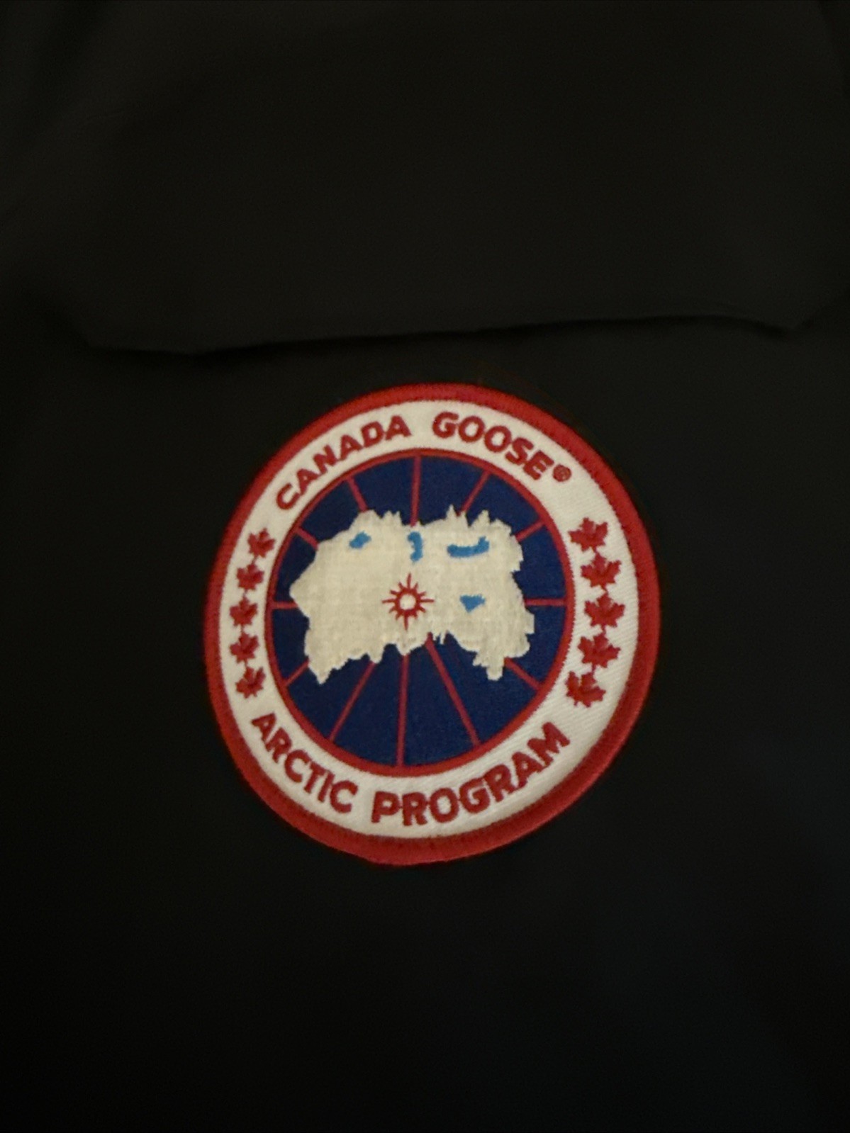CANADA GOOSE 4660L EXPEDITION Heritage Down Parka Jacket Fur Trim Hood Coat L