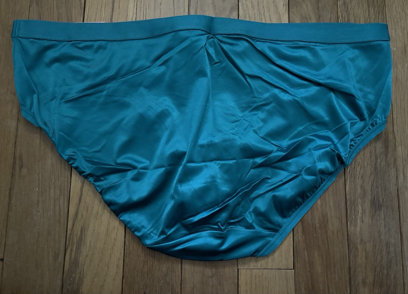 Plus 14/16 Lane Bryant Cacique No Show Hipster Nylon Faux Satin Silk Teal Aqua