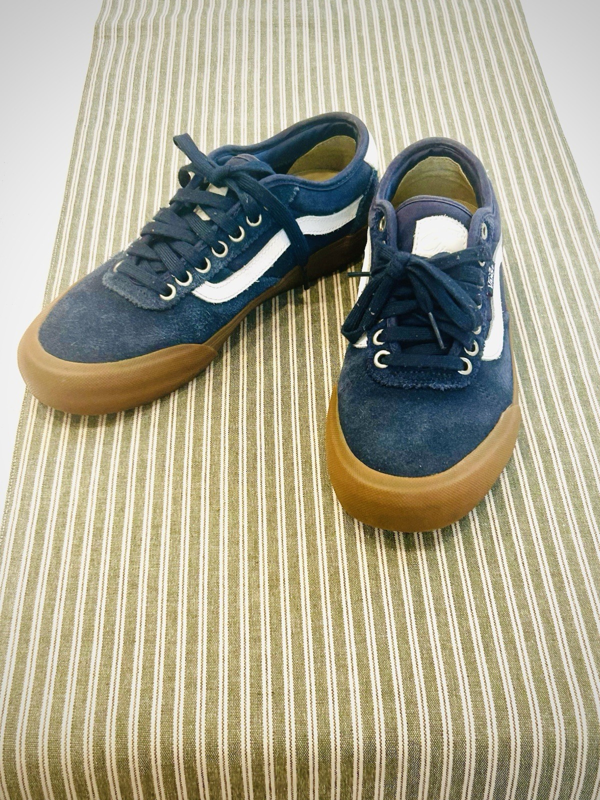 Vans Low Top Blue Skater Shoe