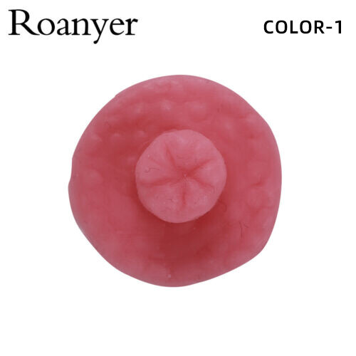 Roanyer 2PCS Silicone Fake Areola Nipple Cover Sticker Realistic Self-adhesive