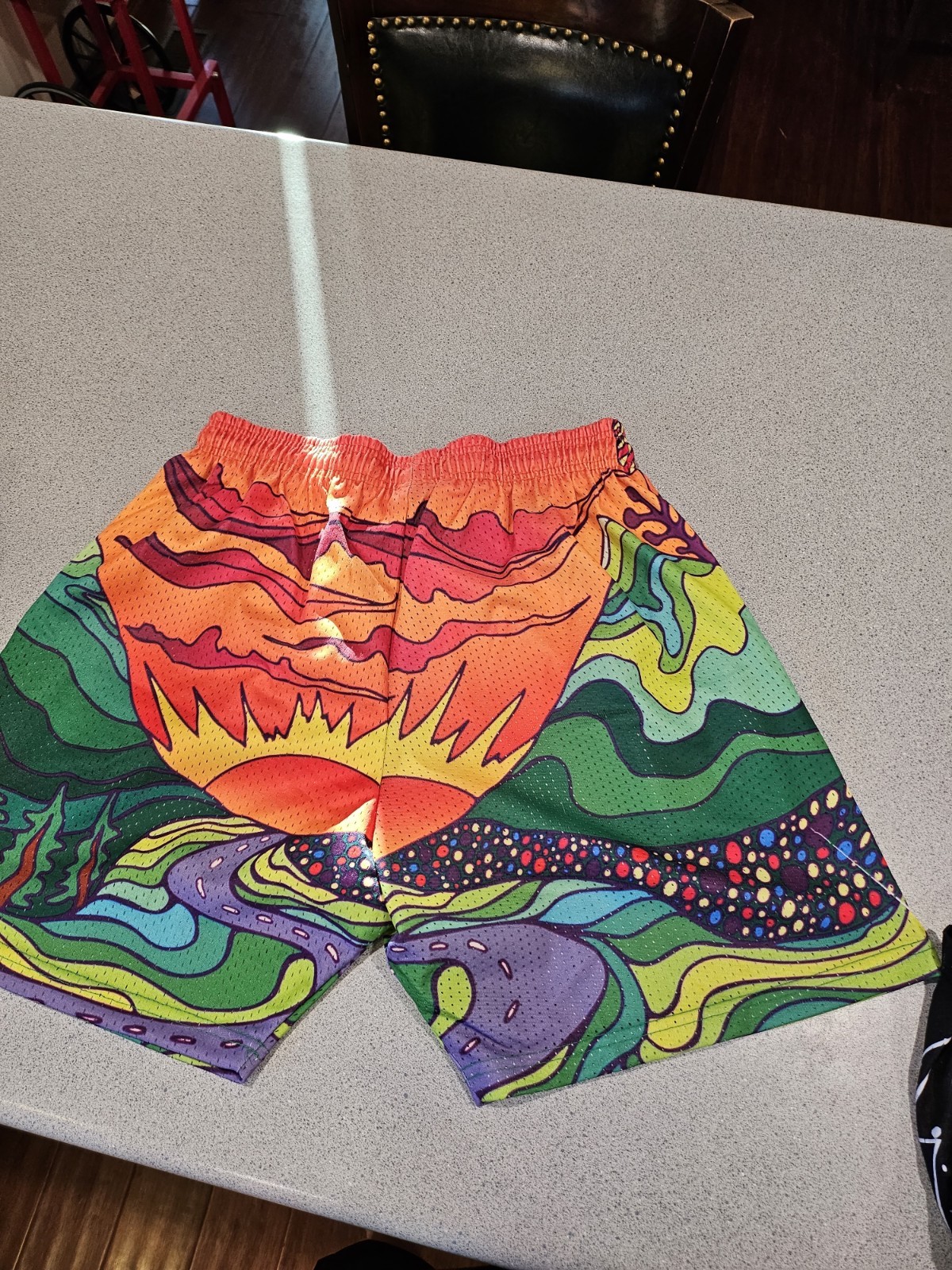 Crisp NYC Mens Mushroom Graphic Print Mesh Athletic Shorts XL