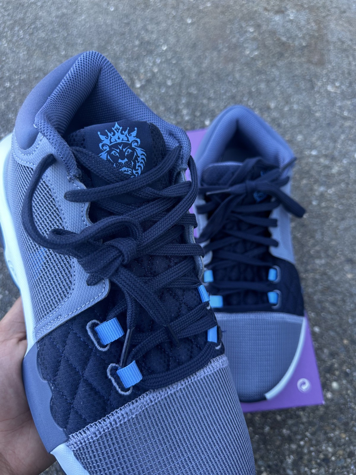 Nike LeBron Witness 8 Ashen Slate Sierra Canyon Basketball FB2239-400 Size 9-13