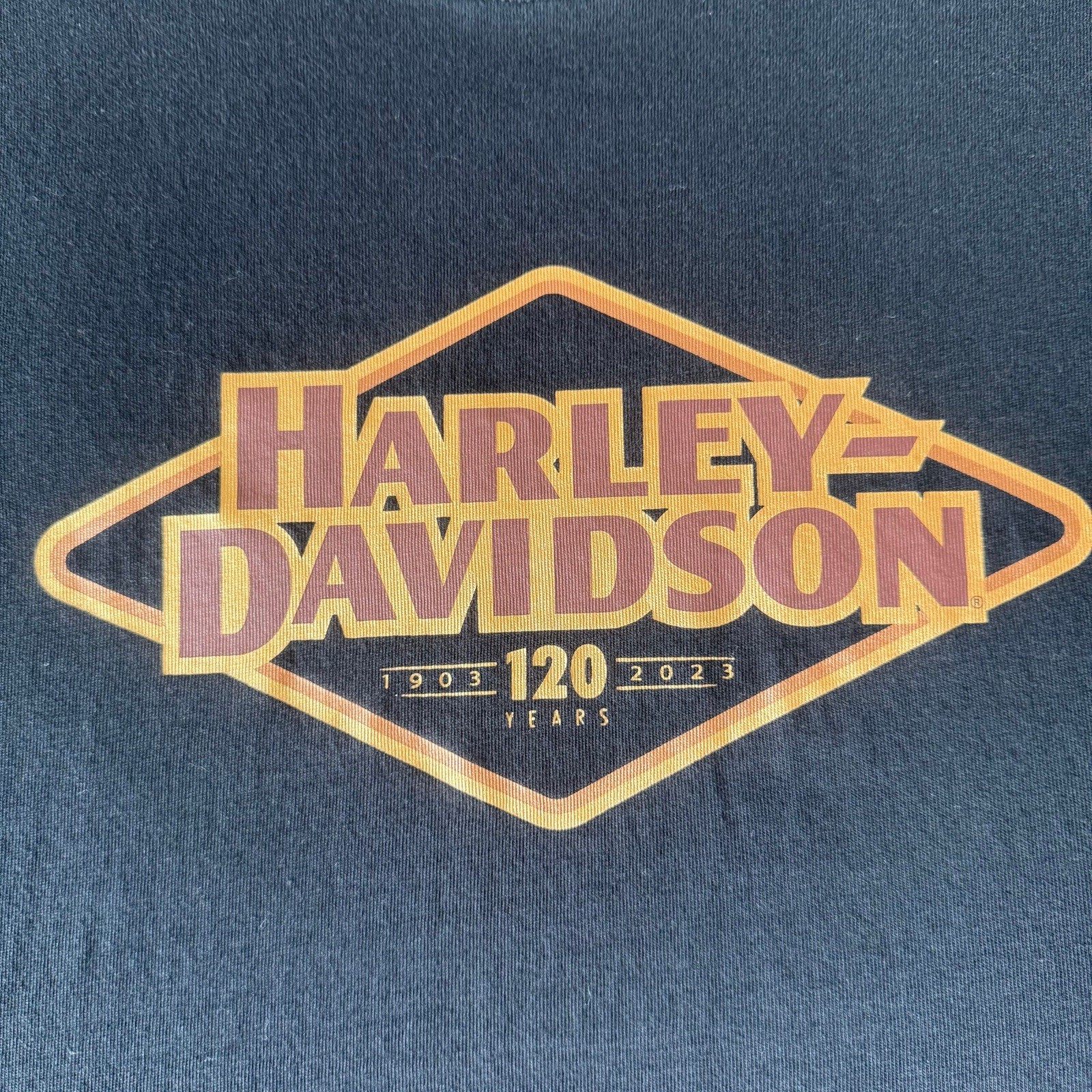 Harley-Davidson 120th Anniversary T-Shirt Men’s M Black 1903-2023 Motorcycle Tee