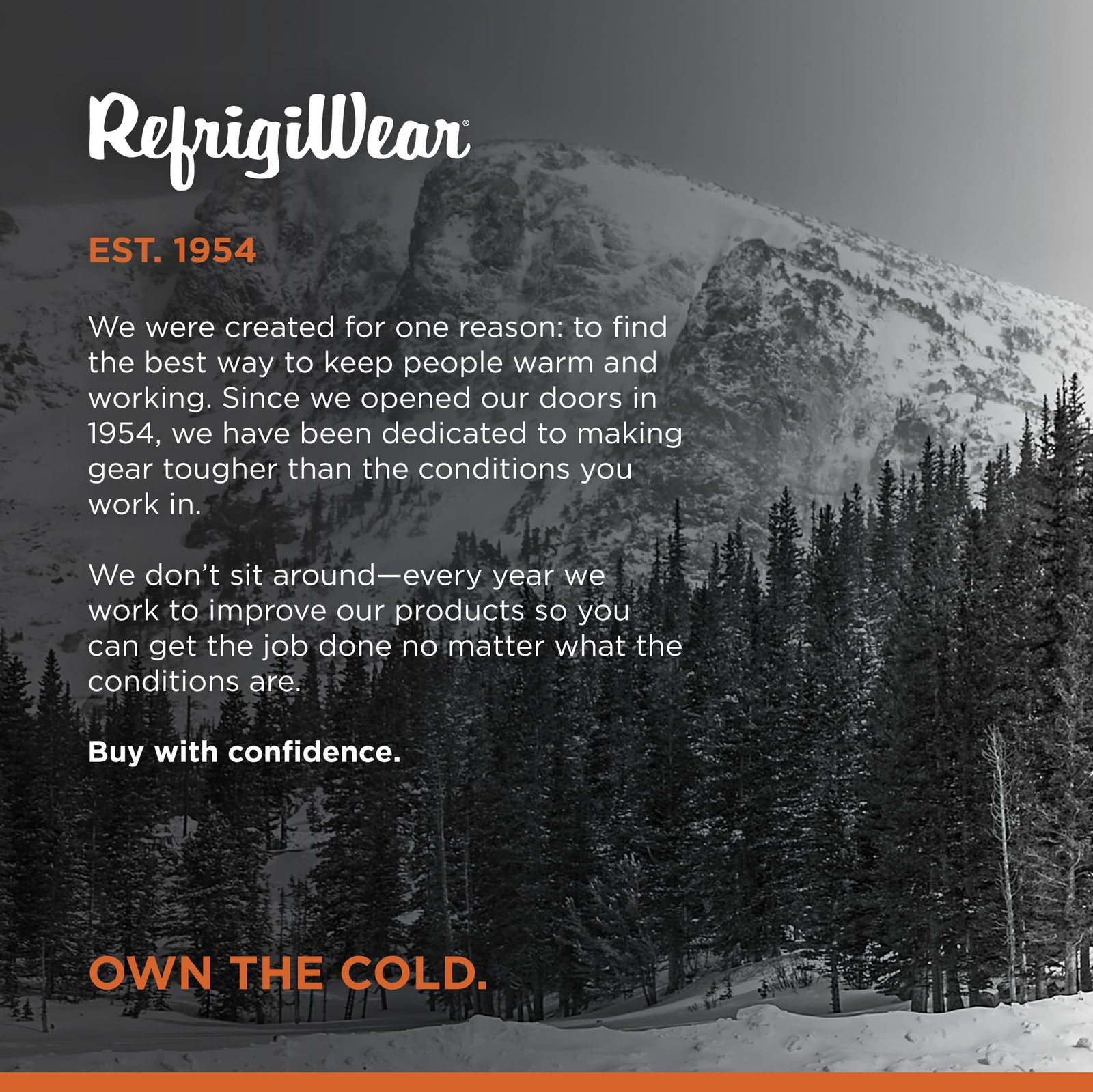 RefrigiWear Fleece Lined Insulated 100% Ragg Wool Grip Gloves, Green