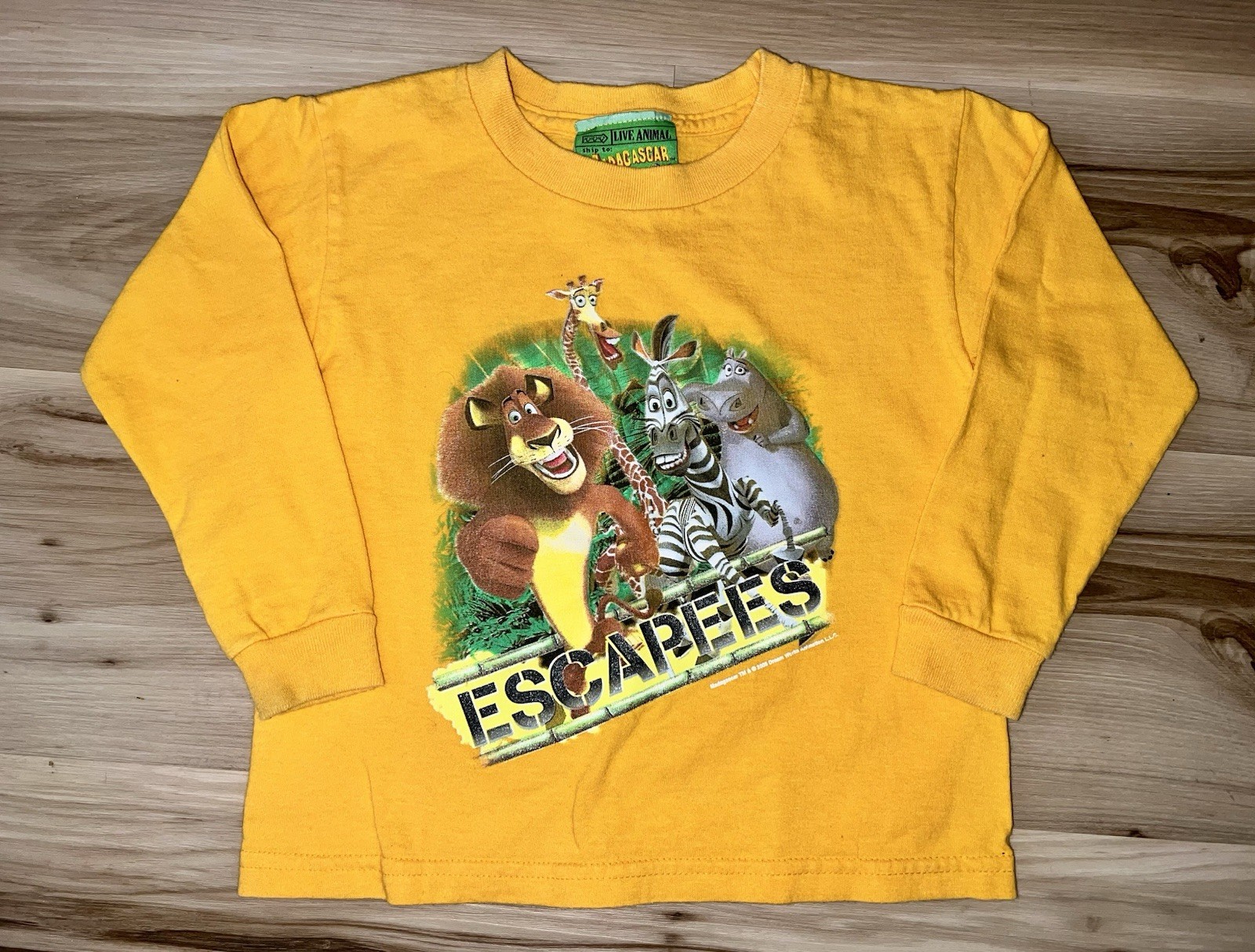 Y2K Madagascar 2005 Alex Marty Melman Gloria Graphic Tee Yellow Long Sleeve 4T
