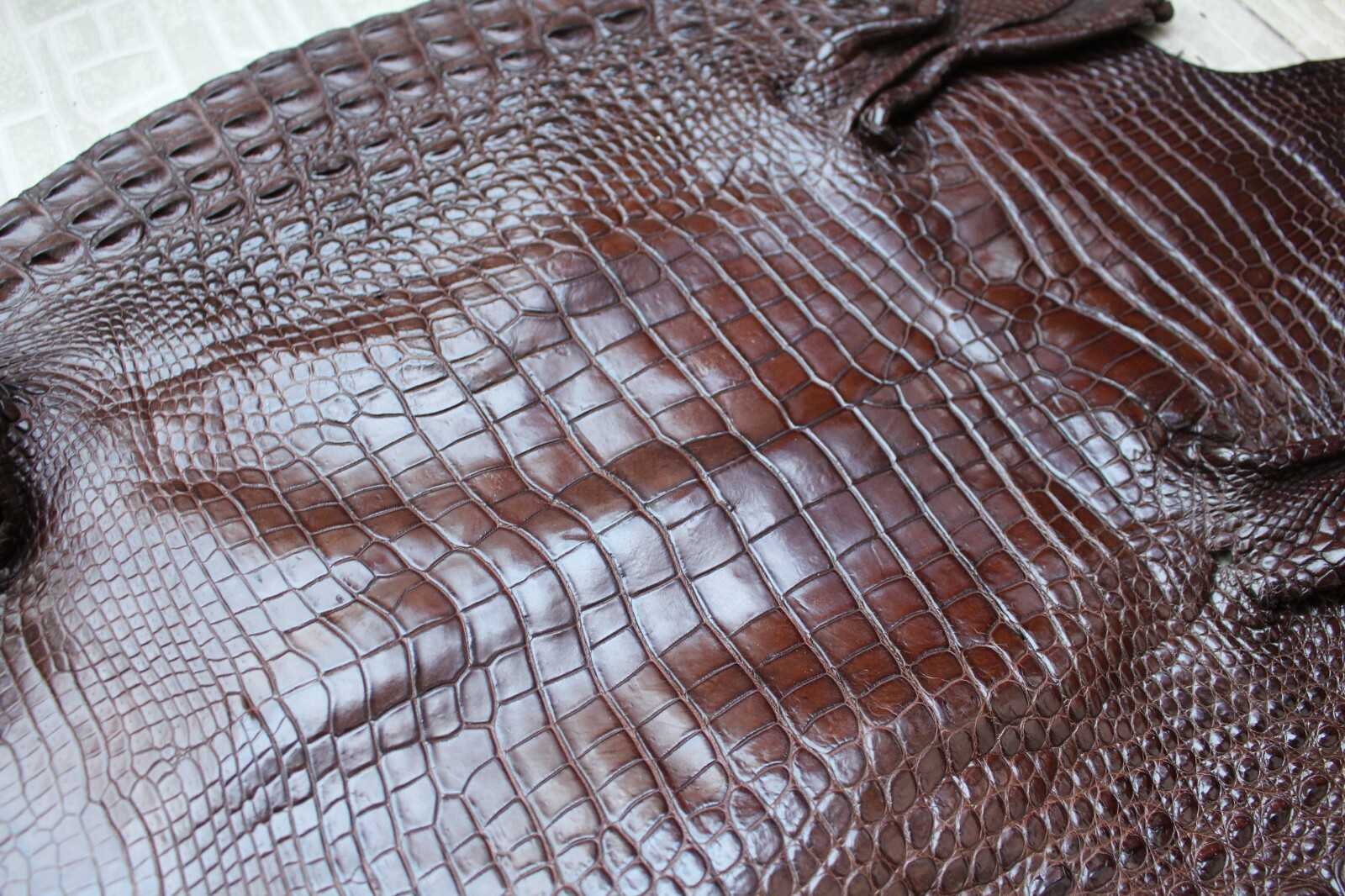Black Genuine Crocodile Hornback Leather Skin MEN’S BIFOLD Wallet #E47