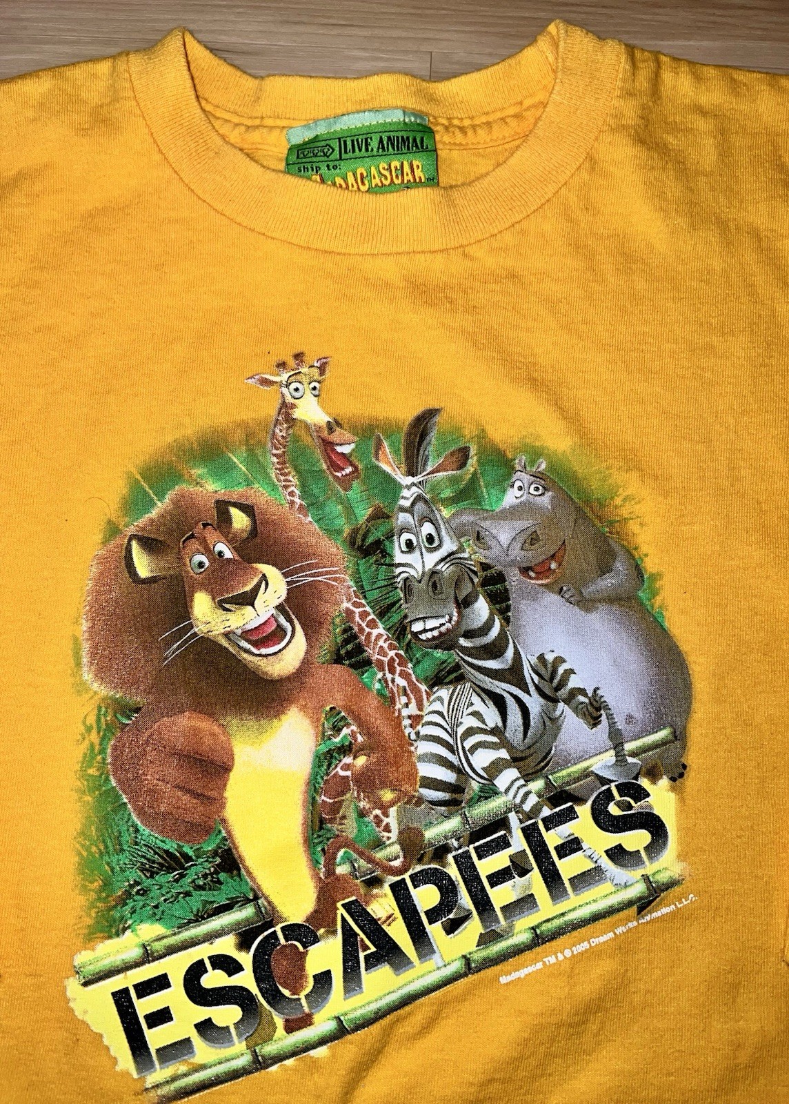 Y2K Madagascar 2005 Alex Marty Melman Gloria Graphic Tee Yellow Long Sleeve 4T