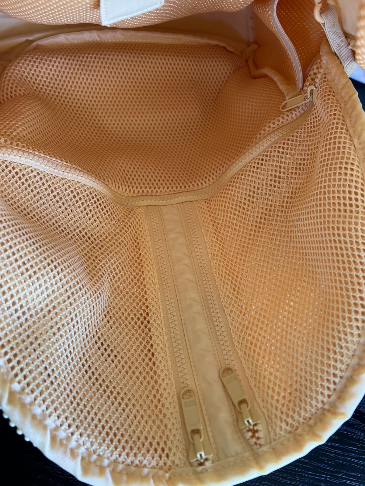 Authentic Brand New Dagne Dover Dakota Air Mesh Large Backpack in Pollen
