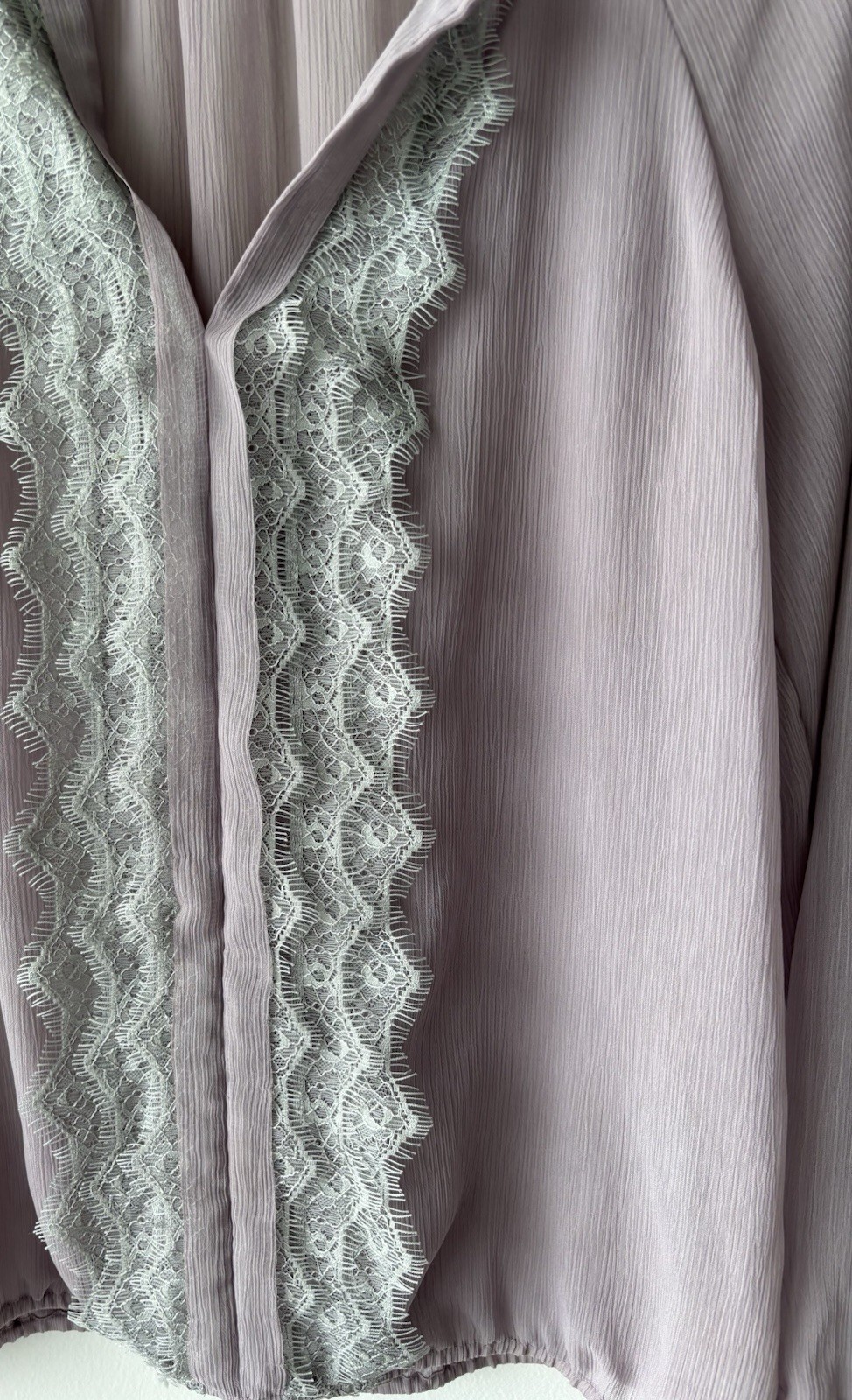 Ann Taylor Blouse Light Purple Lace Sheer Long Sleeve Women S Romantic Fairy