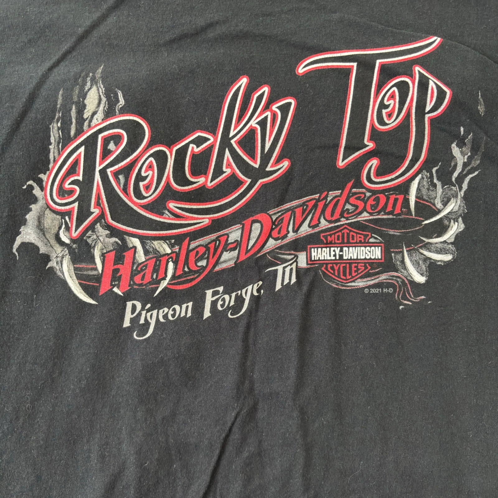 Harley-Davidson Mens 4XL Black Rocky Top Pigeon Forge Bear Pocket T-Shirt 2021
