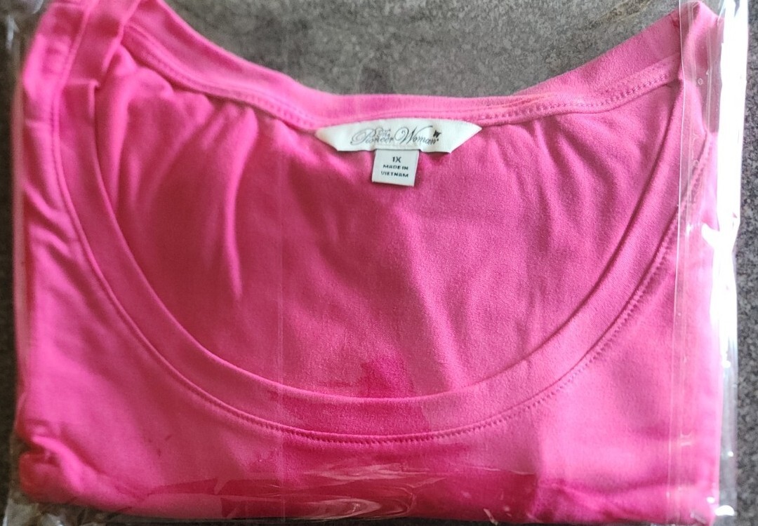 Pioneer Woman ~ Short Sleeve ~ Boat Neck TEE Shirt ~ BEETROOT ~ Size 1X (16W)