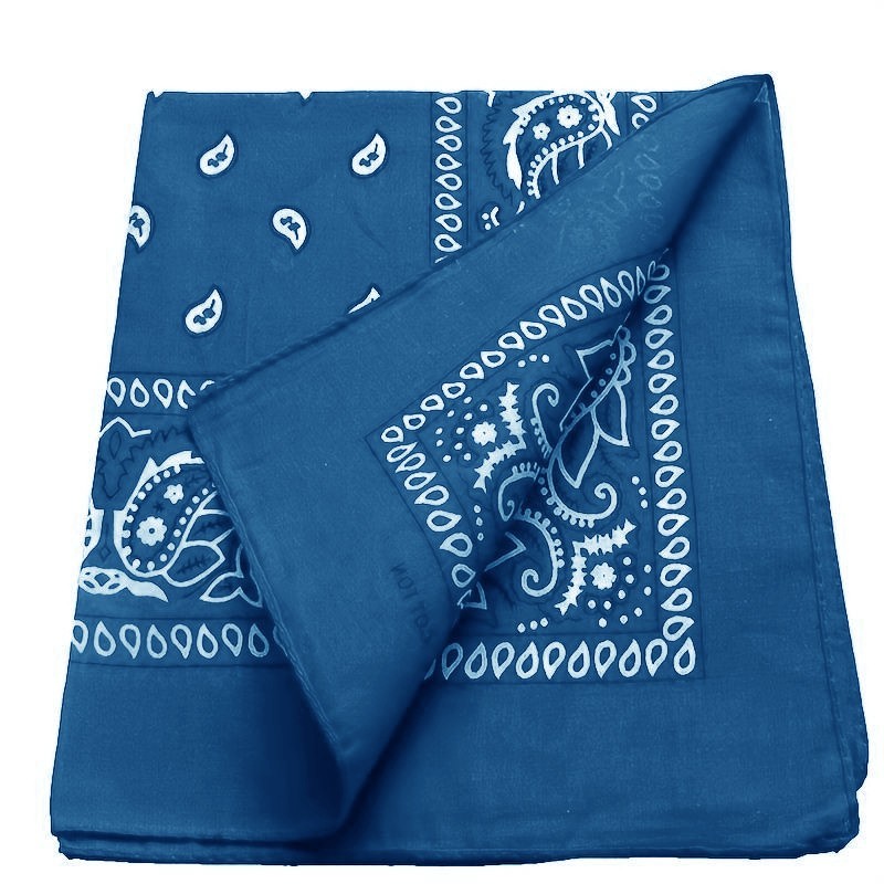 2 X Paisley Print Bandana 100% Cotton Head Warp Scarf Face Mask – USA Seller