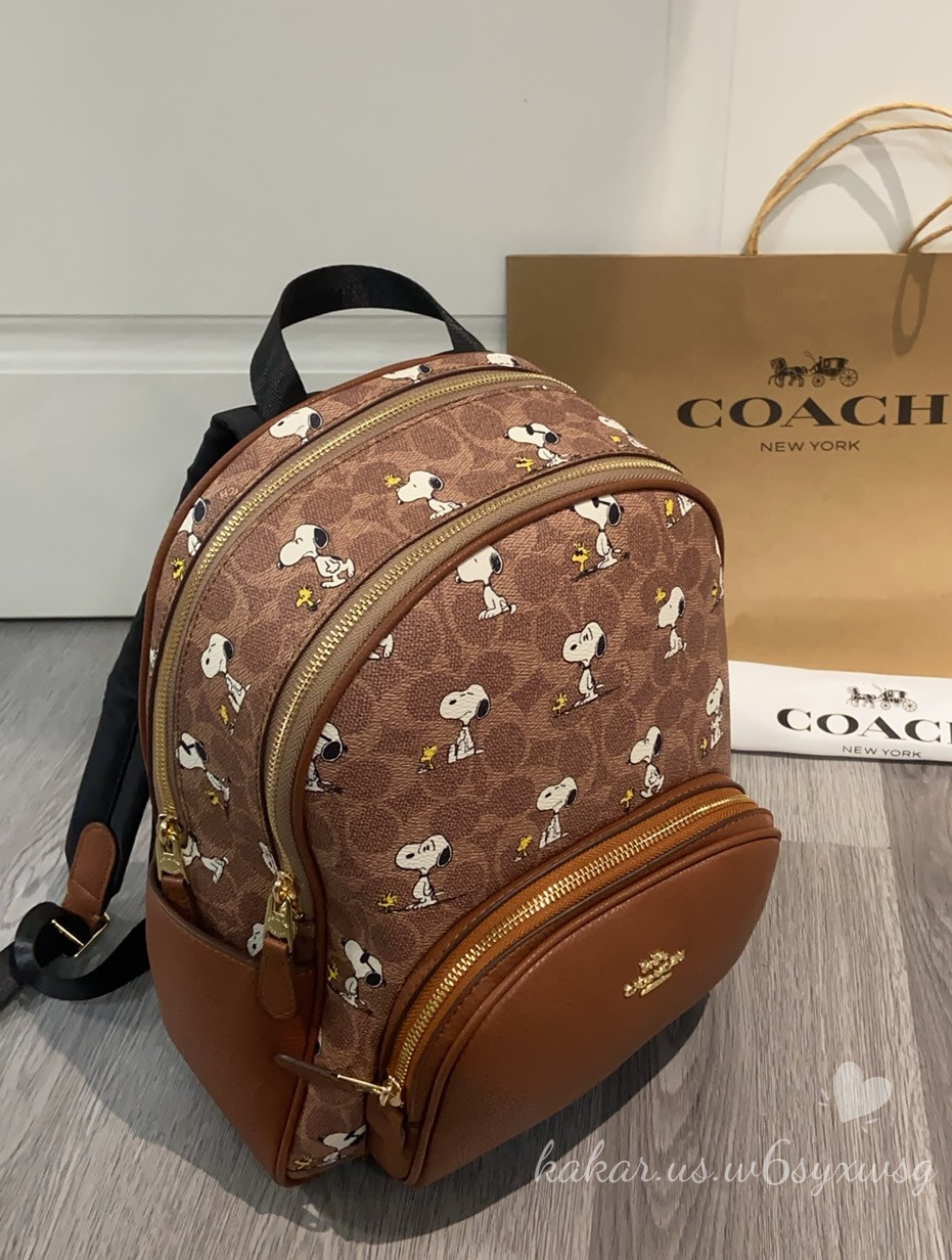 Coach X Peanuts Snoopy Court Backpack Signature Canvas CBM25 Limited Edition New